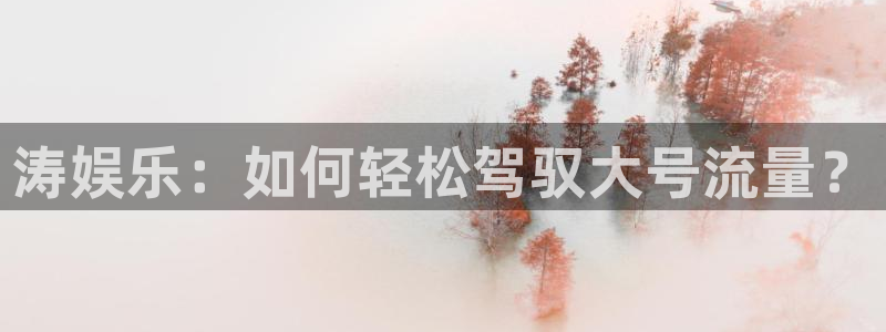 耀世娱乐体育用品：涛娱乐：如何轻松驾驭大号流量？