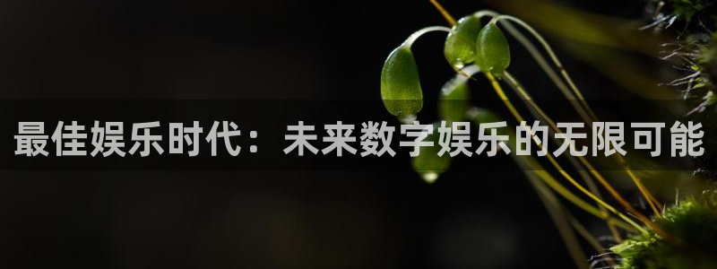 耀世娱乐体育官网入口登录：最佳娱乐时代：未来数字娱乐的无限可能