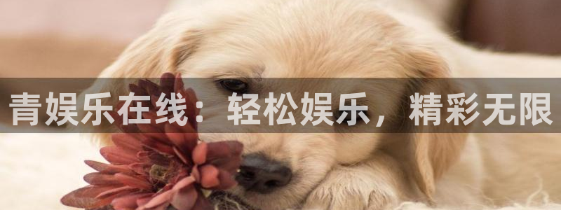成都耀世娱乐电子有限公司：青娱乐在线：轻松娱乐，精彩无限