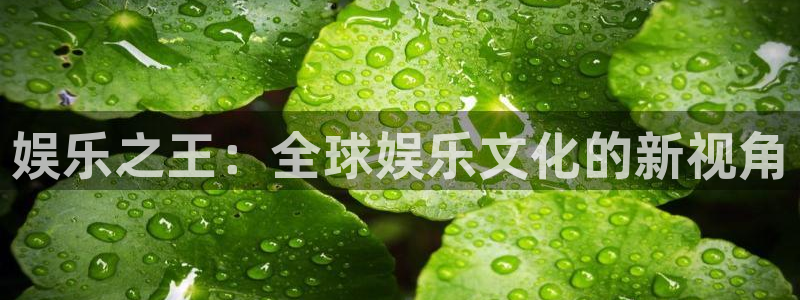 耀世娱乐体育2：娱乐之王：全球娱乐文化的新视角