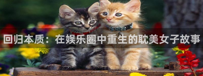 耀世娱乐体育用品：回归本质：在娱乐圈中重生的耽美女子故事