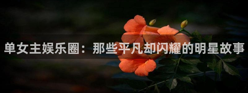 耀世娱乐平台注册：单女主娱乐圈：那些平凡却闪耀的明星故事