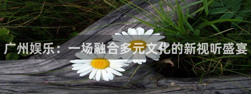 耀世娱乐2官网：广州娱乐：一场融合多元文化的新视听盛宴