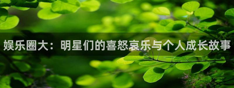 耀世娱乐游戏有哪些好玩的：娱乐圈大：明星们的喜怒哀乐与个人成长故事