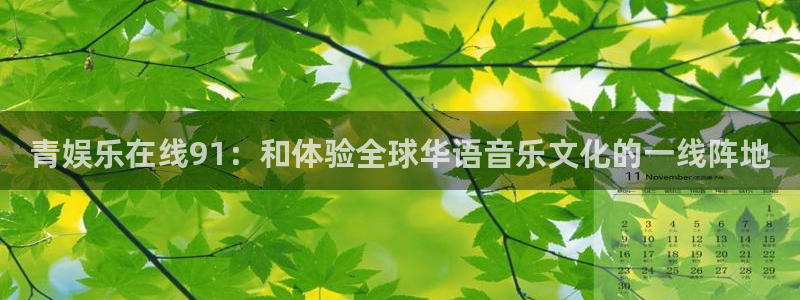 耀世娱乐平台官网：青娱乐在线91：和体验全球华语音乐文化的一线阵地