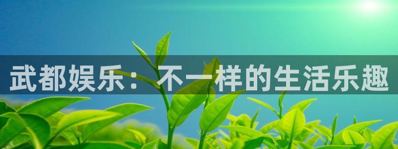 耀世娱乐体育注册：武都娱乐：不一样的生活乐趣