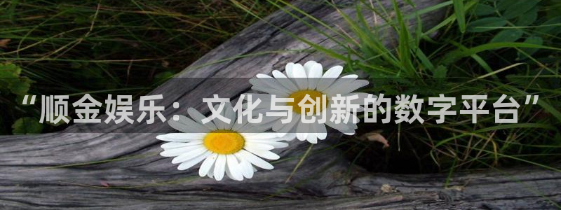 耀世娱乐体育官网入口登录：“顺金娱乐：文化与创新的数字平台”
