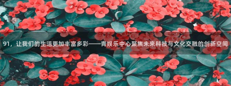 耀世娱乐2平台：91，让我们的生活更加丰富多彩——青娱乐中心聚焦未来科技与文化交融的创新空间