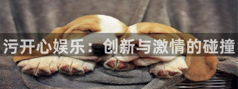 耀世娱乐体育3：污开心娱乐：创新与激情的碰撞