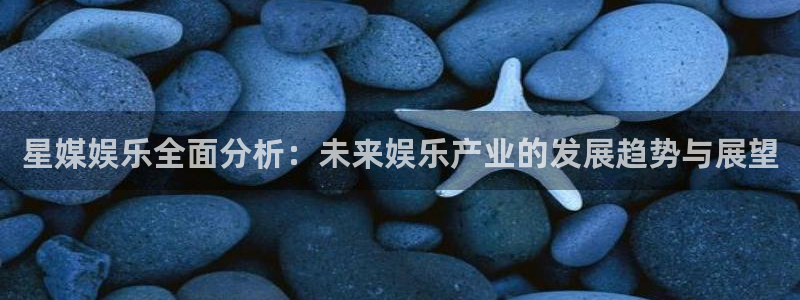 耀世娱乐体育老板是谁：星媒娱乐全面分析：未来娱乐产业的发展趋势与展望