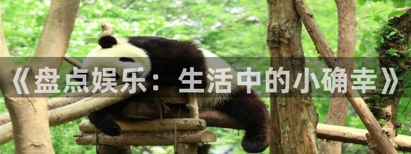 耀世娱乐体育官网入口登录：《盘点娱乐：生活中的小确幸》