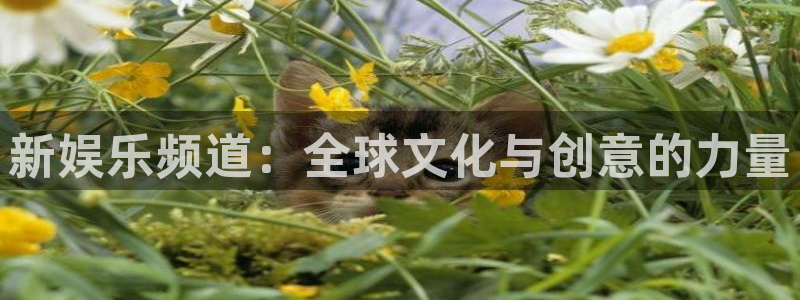 耀世娱乐平台主管：新娱乐频道：全球文化与创意的力量