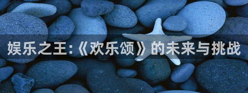 耀世娱乐登陆：娱乐之王:《欢乐颂》的未来与挑战